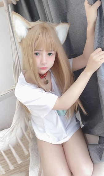 一仆二主电视剧